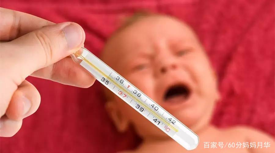最新量体温,最新量体温，掌握科学测温技巧🌡️