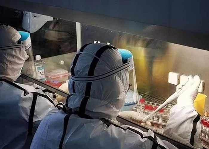 最新冠状科研进展与小明的科研日常及友情之旅